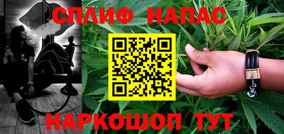 тгк Бийск