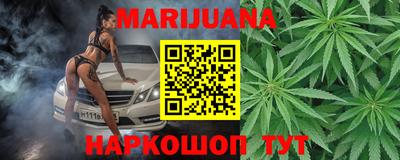 тгк Бийск