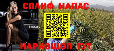 шишки Беслан