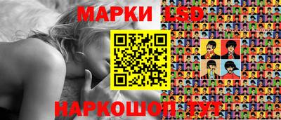 тгк Бийск
