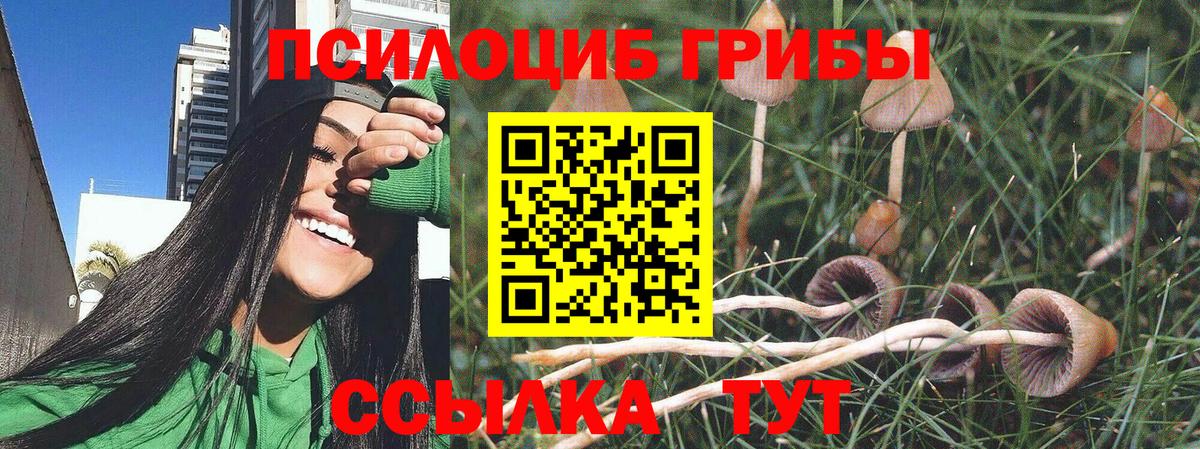 Псилоцибиновые грибы прущие грибы  Вход с VPN  купить  цена  Будённовск 